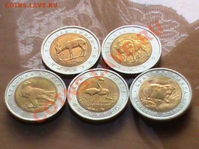 Продам набор монет Красная Книга (15 штук) в сохране - КК3.JPG