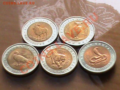 Продам набор монет Красная Книга (15 штук) в сохране - КК1.JPG