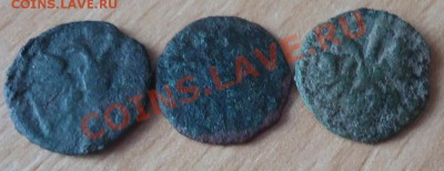 Полушки ВРП (3шт) не чищ. до 26.06.12г до 22-00 по МСК - DSC03838_cr