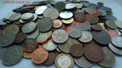 427 ИНОСТРАННЫХ - DSC01062 (Medium).JPG