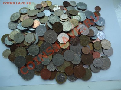 427 ИНОСТРАННЫХ - DSC01063 (Medium).JPG