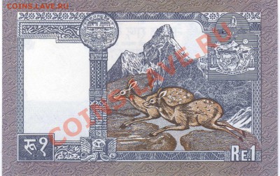 Непал рупия до 25.06.12 в 22.00мск (2280) - img461