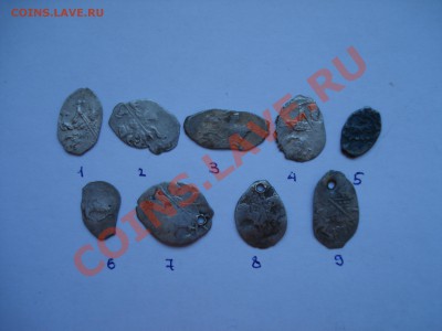 Чешуйки,определение и оценка - DSC07617.JPG