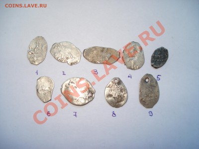 Чешуйки,определение и оценка - DSC07618.JPG