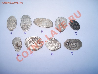 Чешуйки,определение и оценка - DSC07614.JPG