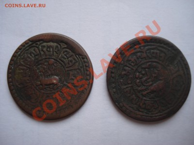 Оценка 1 шо Тибет - DSC07925.JPG