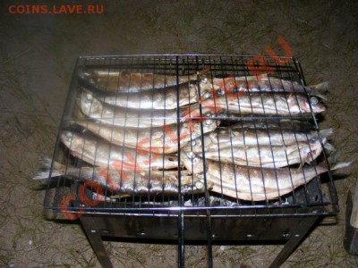 Я алкололик !!! Кто со мной - DSCF0241