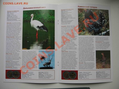Красная книга, комплект + буклет - IMG_6654