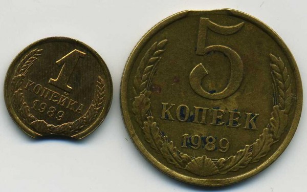 5,1 коп 1989 выкусы до 27.08.08 - вык.JPG
