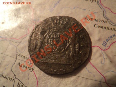 полушка 1769 сибирь до 25.06.12 в 22:00 по мск. вр. - DSC03657.JPG