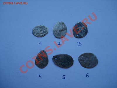 Чешуйки,определение и оценка - DSC07622.JPG