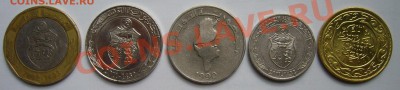 Тунис 5 монет. До 01.07.12 г. 22.00 мск - P1110393.JPG