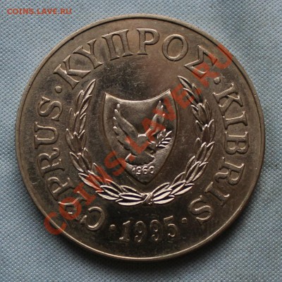 КИПР 1 фунт 1995г. ФАО ГОЛОВА БЫКА до 2.07.12г в 22-00 - IMG_0792.JPG