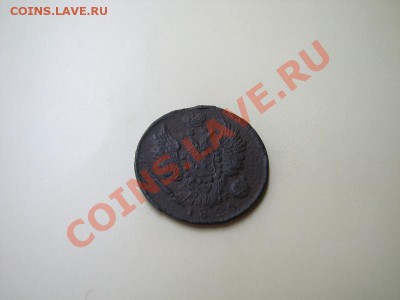 _1 коп 1825 ЕМ ИК_нечастая_ до 02.07.2012 в 22:00 - 4