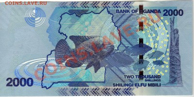 Уганда 2000 шиллингов 2010 до 02.07.12 в 22.00мск (2280) - img712