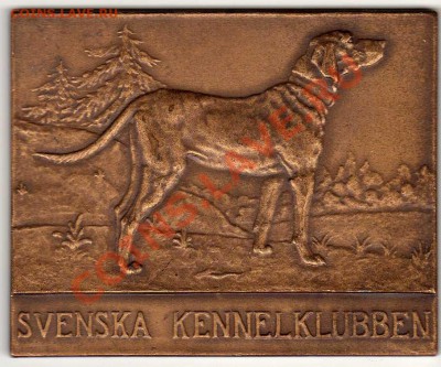Швеция прямоуг.медаль Собака до 02.07.12 в 22.00мск (2681) - img715