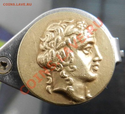 монета Горгипии  (золото) - DSCN3014.JPG