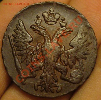 Денга 1738. Оценка. - P1190499.JPG