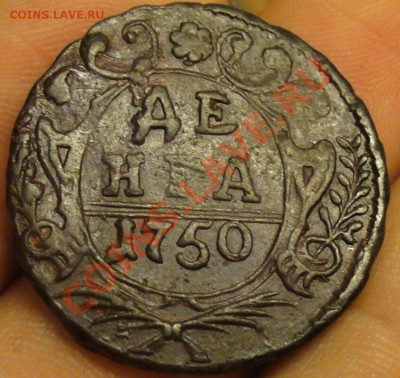 Денга 1738. Оценка. - P1190516.JPG