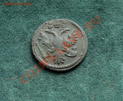 Полушка 1735 год. Перечекан (предродажная) - DSC05823.JPG