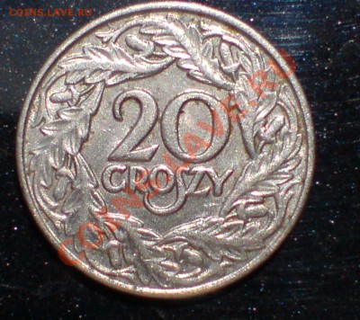 20 грошей 1923г - DSC00001_cr