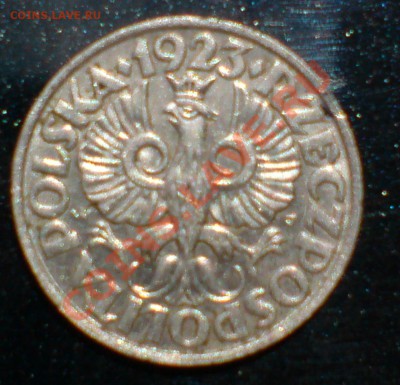 20 грошей 1923г - DSC00002_cr