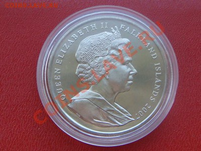 -v- Шайба Фолкленды 1 крона 2007 25лет до 5.07(22.00) - DSC08052.JPG
