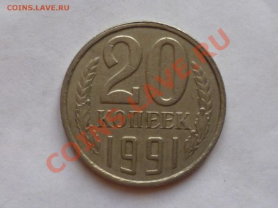 б - P1040434
