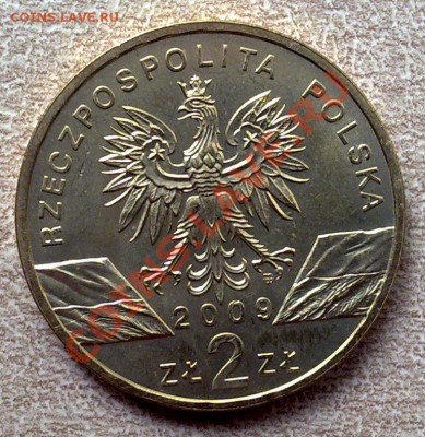 Польша 2злот 2009 Ящерица зеленая 22.00 05.07 - 070620125048