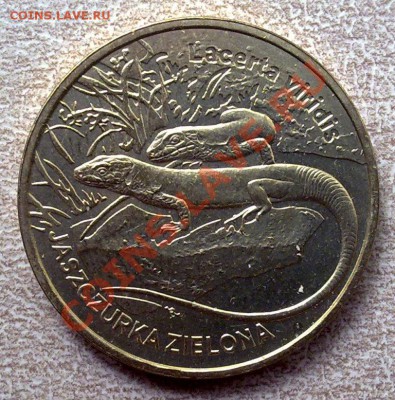 Польша 2злот 2009 Ящерица зеленая 22.00 05.07 - 070620125047
