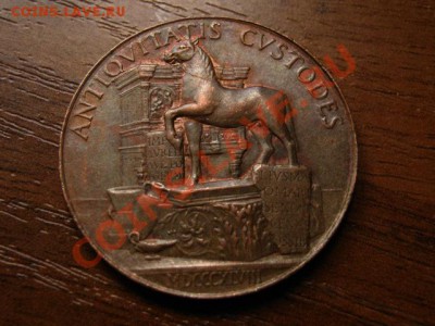Франция Компания Археологов Орлеана до 04.07.12 в 21.00 М - IMG_1372