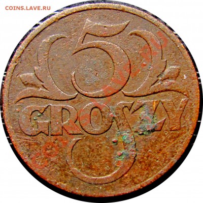 D47 Польша 5 грошей 1931 до 07.07 в 22°° - D47 5 1931_1