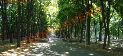 15 копеек 1980г "волосатая" - DSC03342.JPG