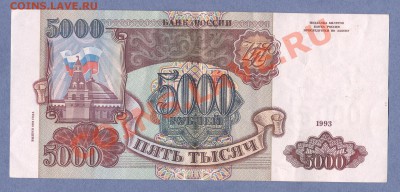 1 - Сибирские.0003