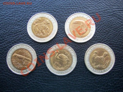 Красная книга 1993г за 2500р - 100_7430
