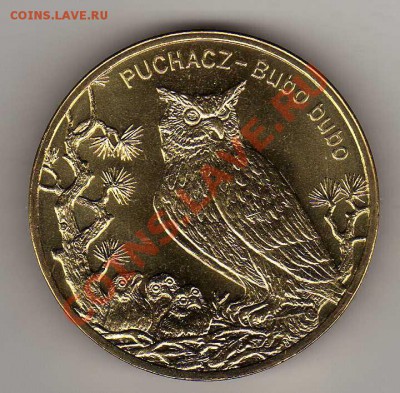 ПОЛЬША 2 ЗЛОТЫХ 2005 ФИЛИН ДО 12.07.12-22Ч (2655) - img111