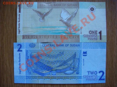 -v- Судан 1 и 2 фунта 2006  до 12.07(22.00) - DSC08132.JPG