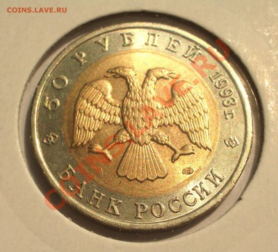 1993 - 50р. КК: Гималайский медведь (ок. 12.07.2012 в 21-30) - 092