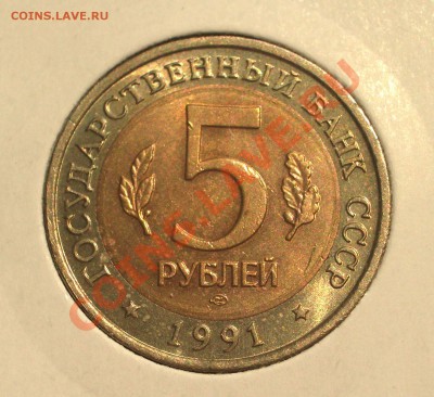 1991 - 5р. КК: Винторогий козел (ок. 12.07.2012 в 21-30) - 087