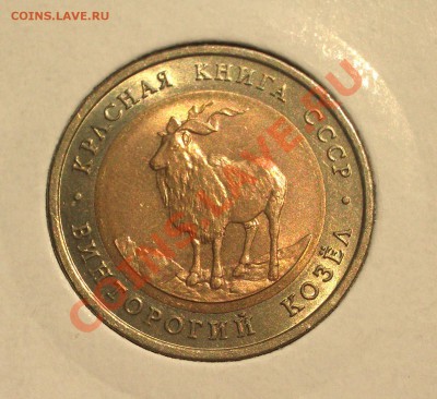 1991 - 5р. КК: Винторогий козел (ок. 12.07.2012 в 21-30) - 086