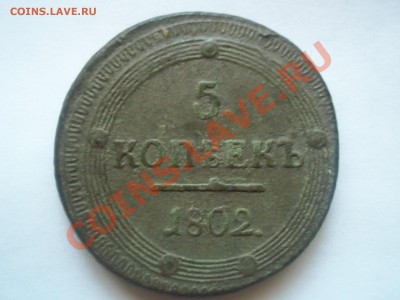 5к 1802г - 100_3330.JPG