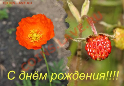 Natashkin С днем Рождения!!! - С днём рождения!!!