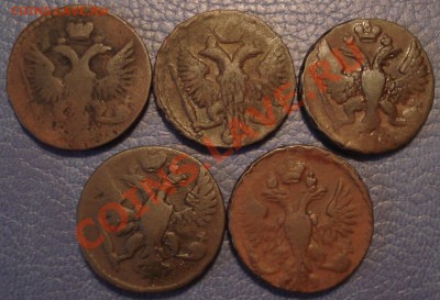 Денга 5 шт 1744-1750гг - Денга 1744, 1747, 1748 и 1750_2