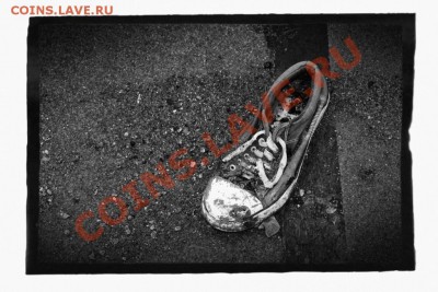 ФОТО - просто фото. Те что получились удачными. - IMG_2900