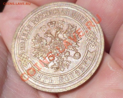 5 КОПЕЕК 1911 ГОД. СОСТОЯНИЕ!!! ДО 12.07.12 В 23.00!!! - P1020917.JPG