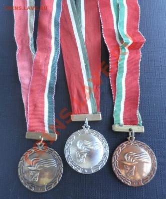 3 медали "Жальгириса" + 3 молодежные - Lith.Sport.1