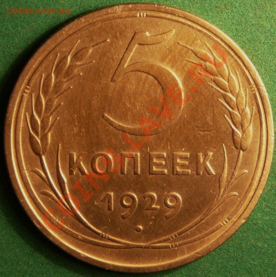 5 копеек 1929г. нечастая. до 18.07.12. в 22-00 по москве. - P1080779.JPG