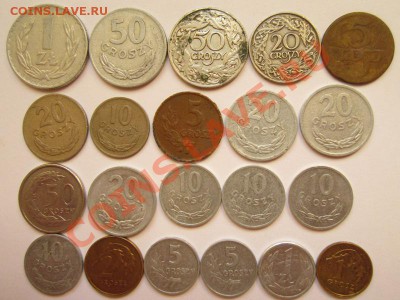 Монеты Польши 21шт. до 20.07.2012г. в 22.00 мск - IMG_4109.JPG