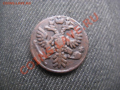 полушка 1731,35 и денга 1736 Московская - IMG_3026.JPG