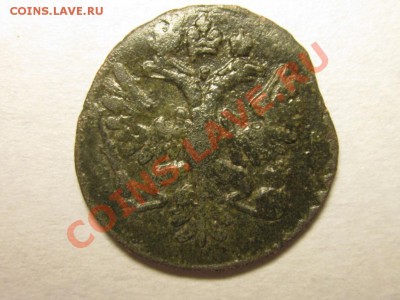 Полушки 1730-1754 годов. Галерея - IMG_1251.JPG